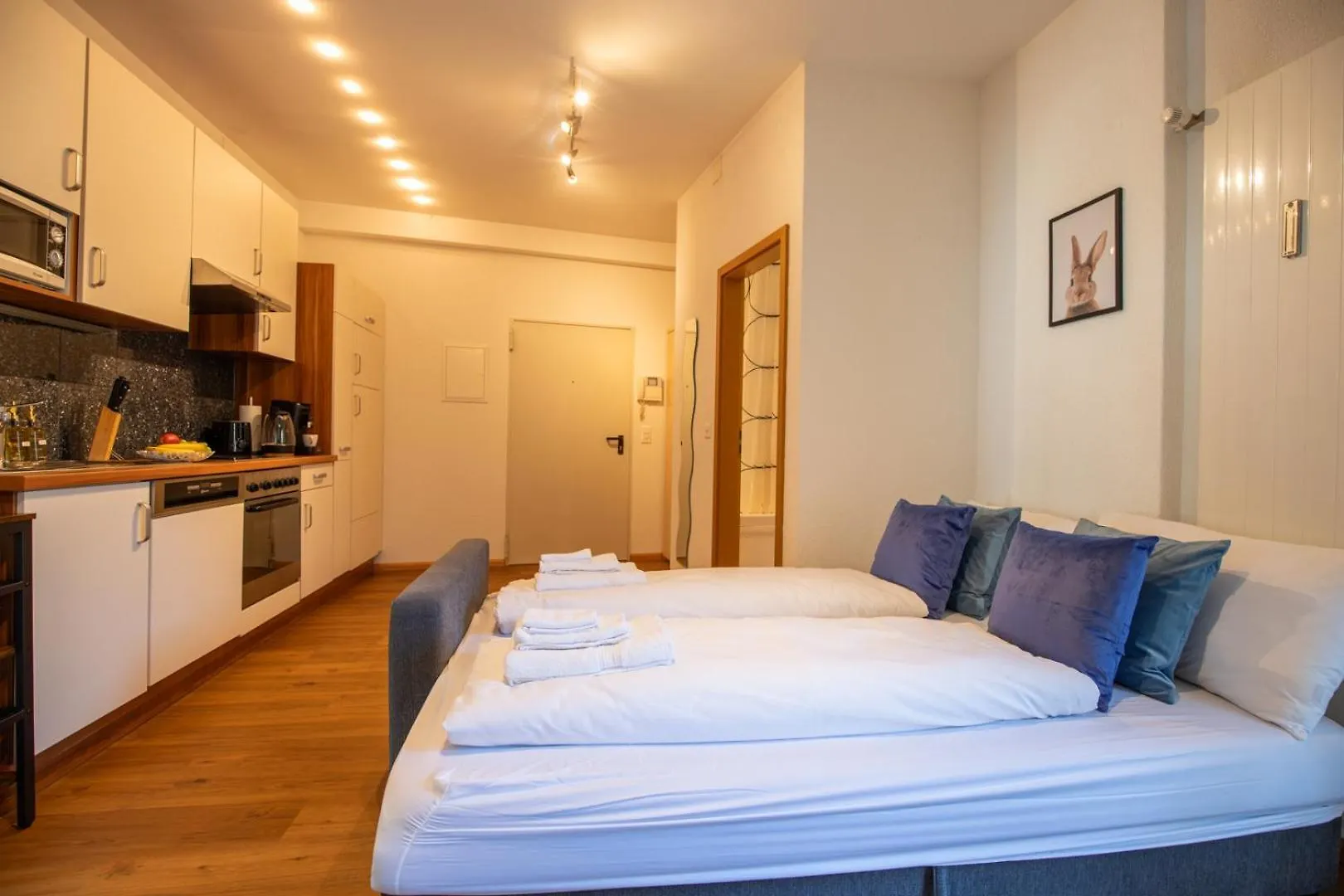 Special Roger F Rabbit 1 Apartment, Roche Towers, 10-Star Basilea